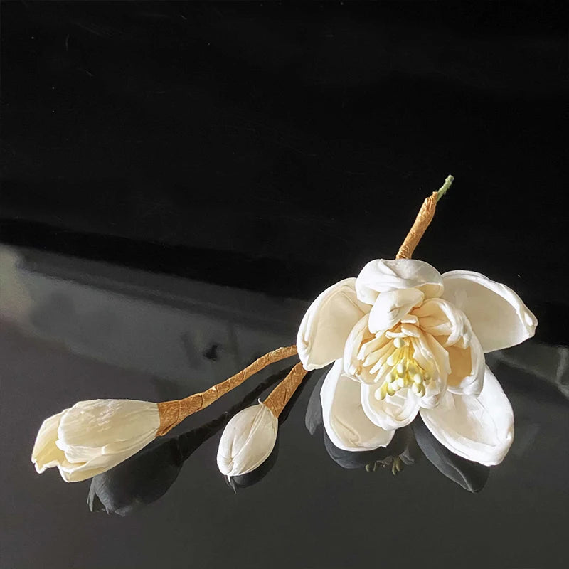 White Magnolia Flower